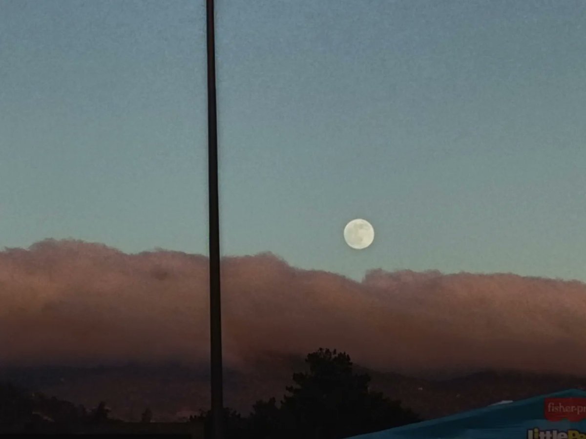 AlCesarDale's tweet image. Luna, tu que lo ves, dile, cuanto lo extraño.
#LunaBella
#pachucahidalgo
#atardecer