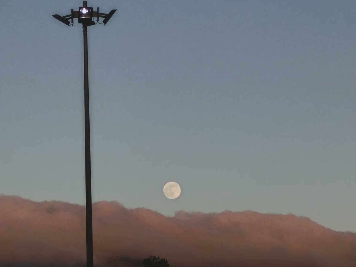 AlCesarDale's tweet image. Luna, tu que lo ves, dile, cuanto lo extraño.
#LunaBella
#pachucahidalgo
#atardecer