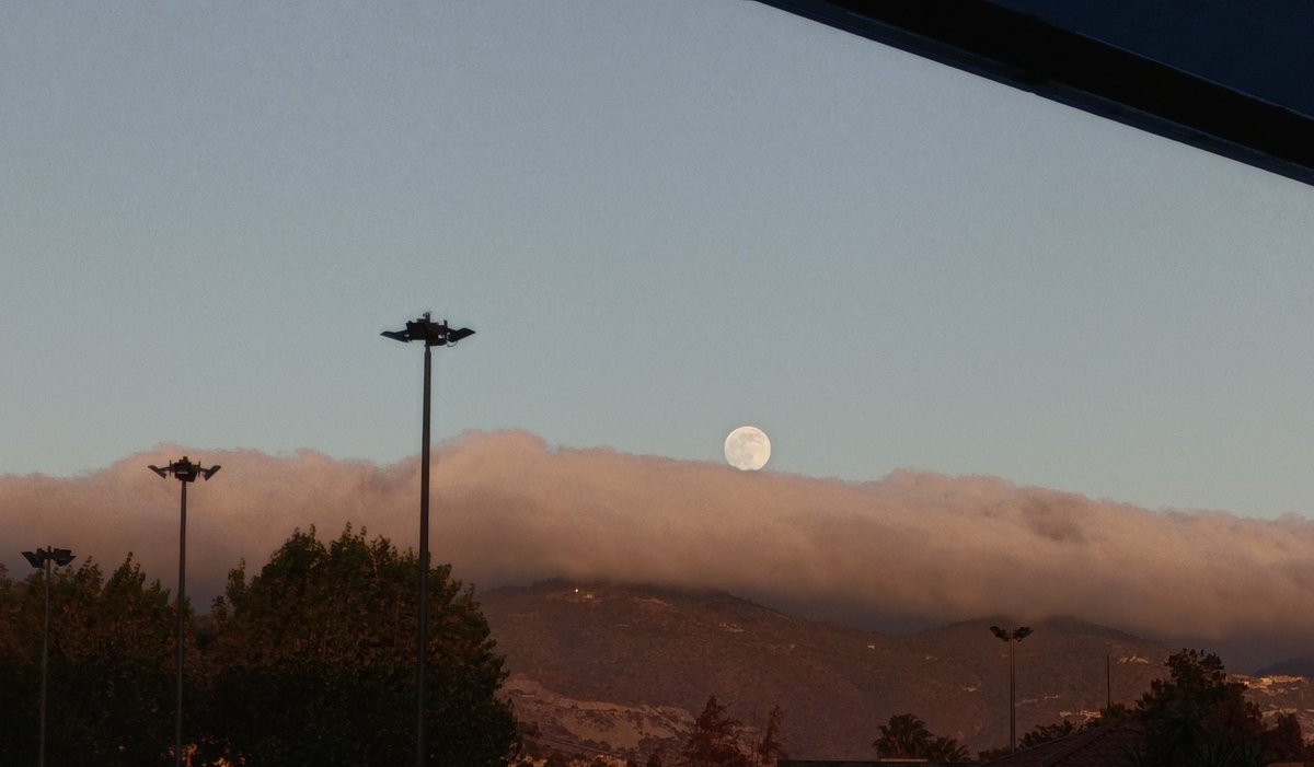AlCesarDale's tweet image. Luna, tu que lo ves, dile, cuanto lo extraño.
#LunaBella
#pachucahidalgo
#atardecer
