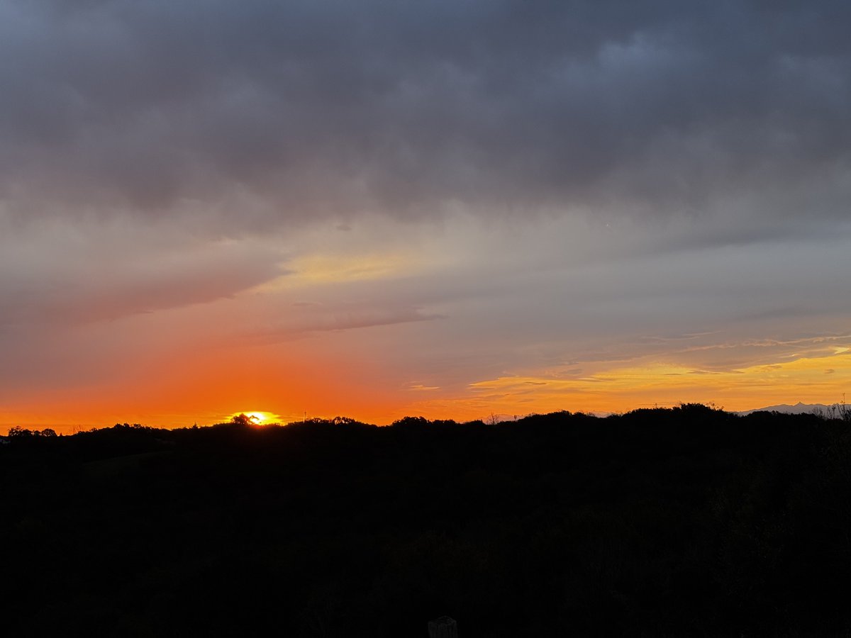 MartinMartinM2x's tweet image. Je veux rien savoir c’est le kiff !
START vers 08h10

twitch.tv/martinmartin_m…