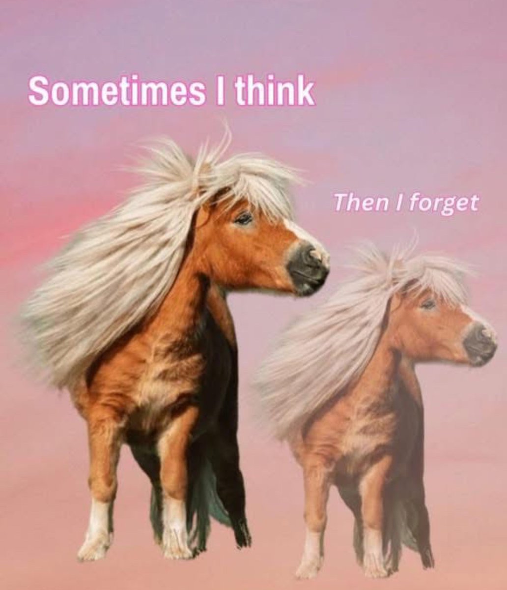 Respectful Memes (@respectfulmemes) on Twitter photo 