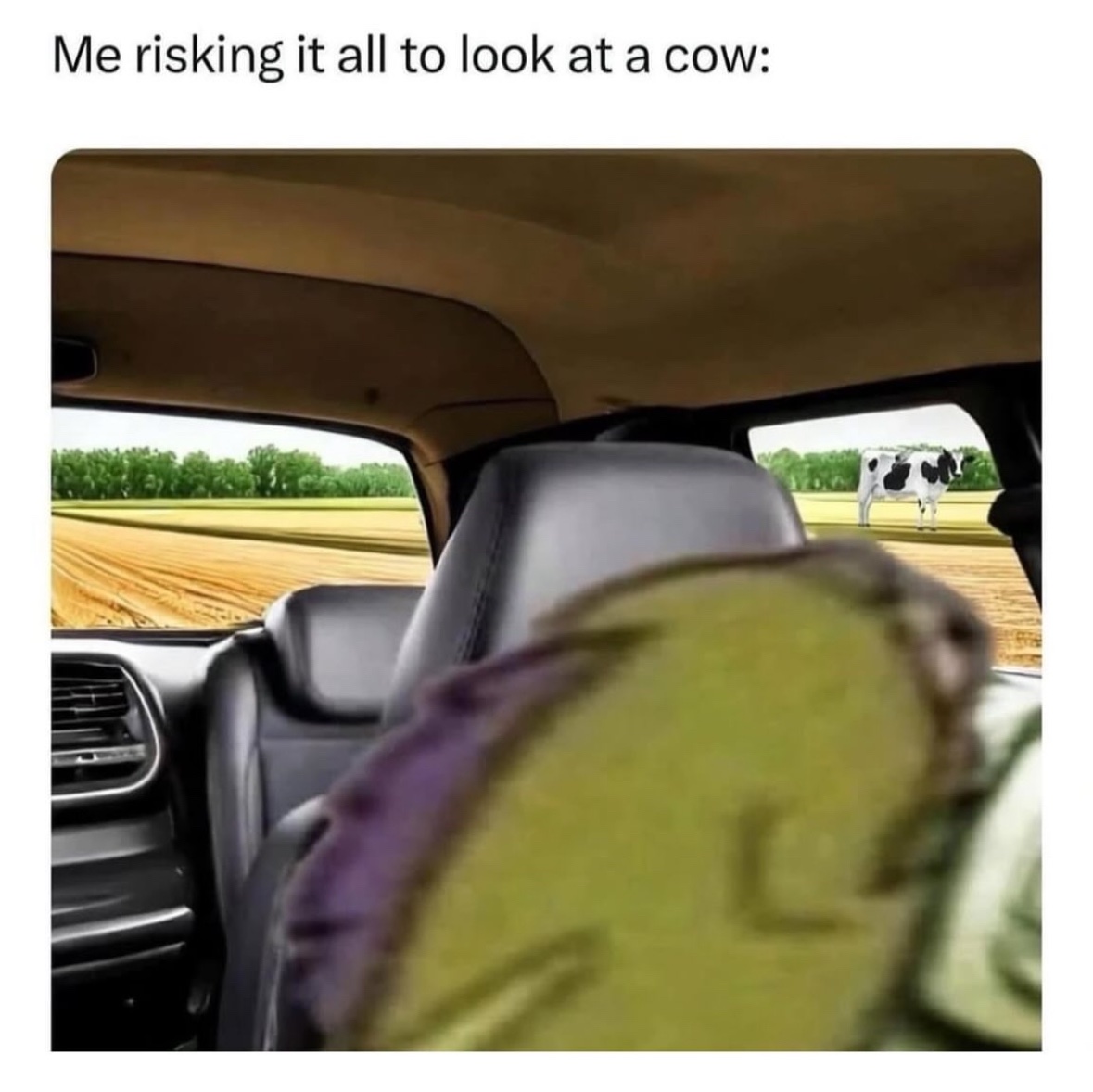 Respectful Memes (@respectfulmemes) on Twitter photo 