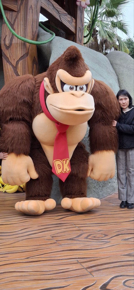 nefisu's tweet photo. Universal studios Japan https://t.co/EbVFGZQlfN