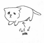 Pamaj's tweet image. @Jev