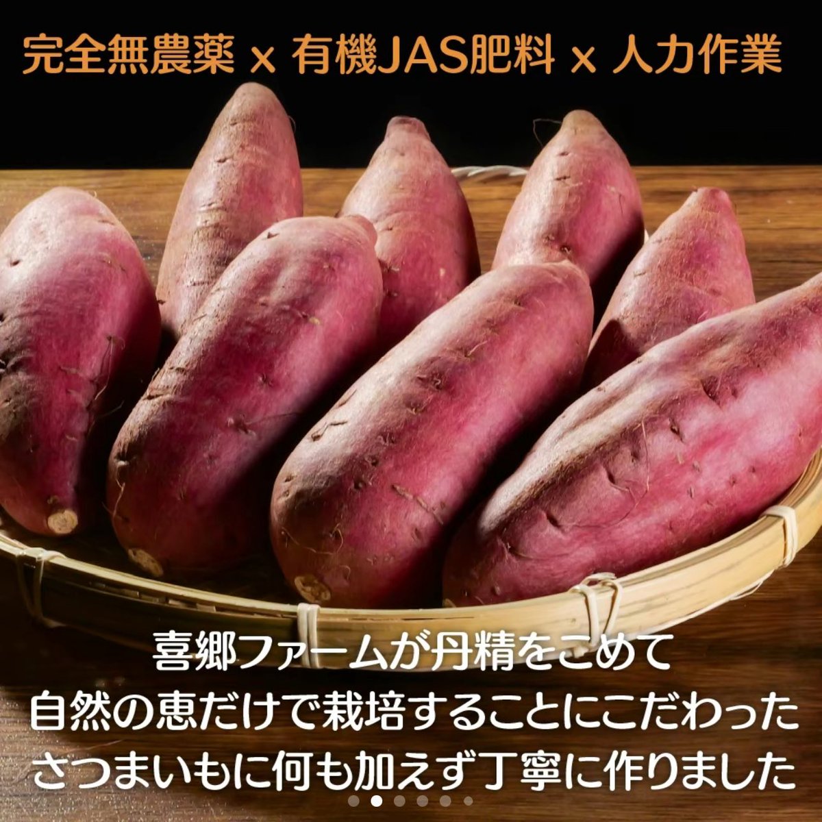 やまもん(プライベートのすがた (@yamata_yamamon) / Posts / X