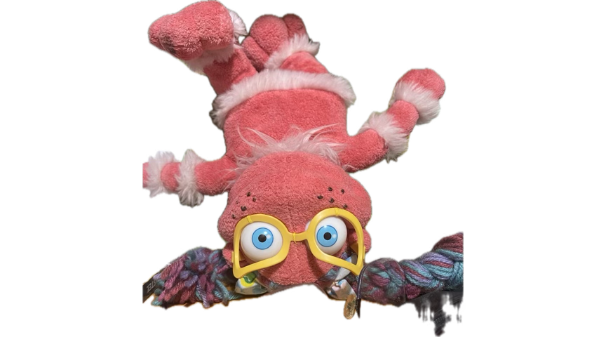 iOS App Gratis tweet media