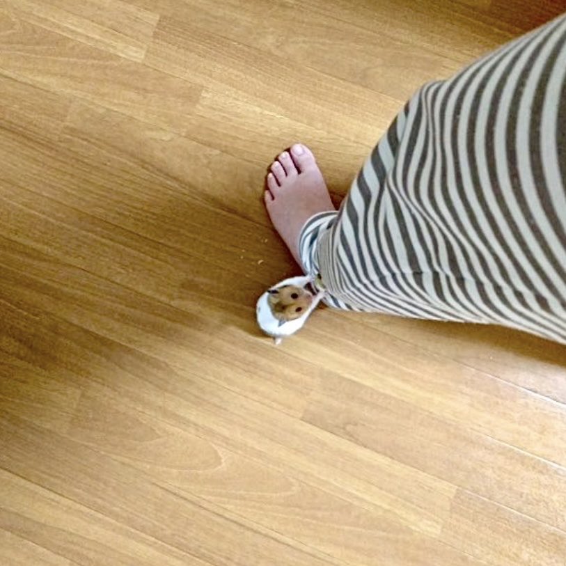 ゆうまろ@読書猫 on X