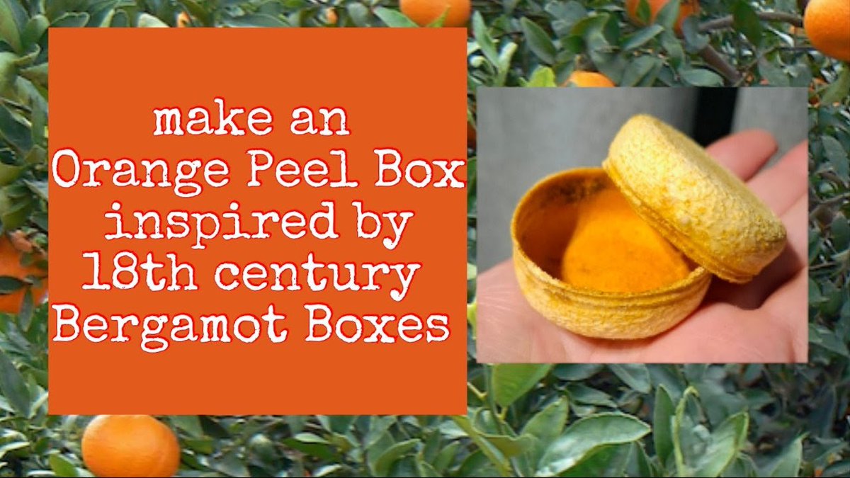 Sally Pointer tweet media