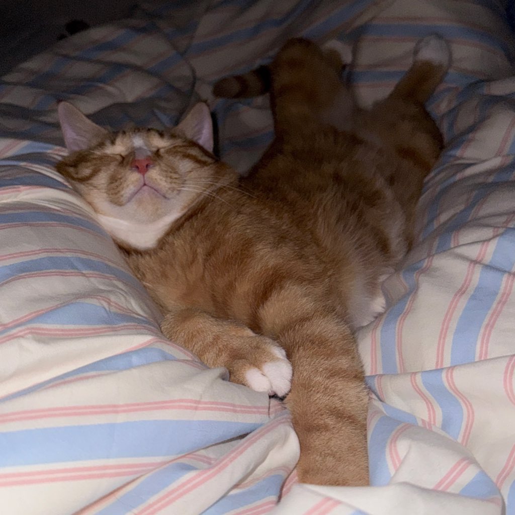 홍시 (@todayhongsi) on Twitter photo 