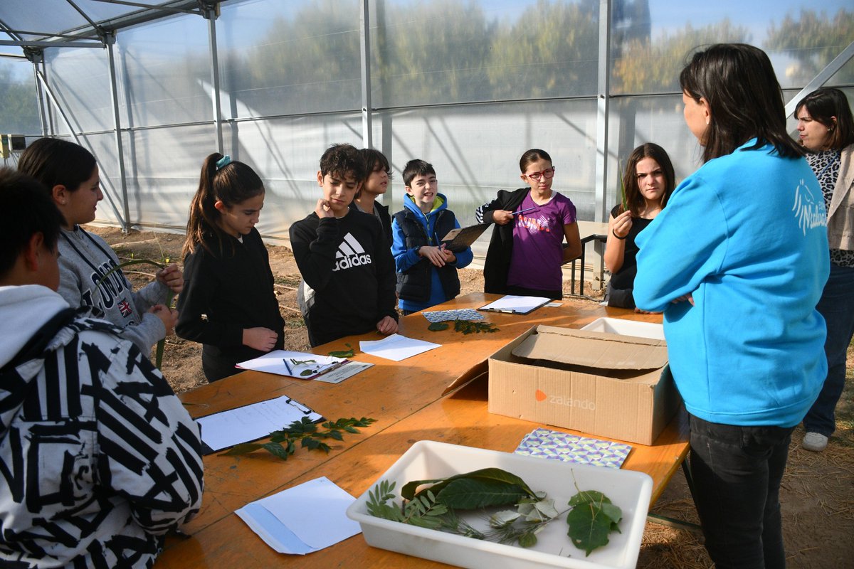 🐎ESPACIO MALVASEDA🐎
Hemos visitado con 6ºB el Espacio Malvaseda, de #AldeasInfantiles. Nos han enseñado un montón de cosas sobre árboles y caballos que hemos puesto en práctica investigando e interactuando con ellos. ¡Aprender disfrutando ha sido genial! 
 #LaEstrellaEsMiCole