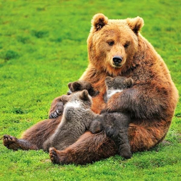 vivaneil (@vivaneil1234) on Twitter photo 