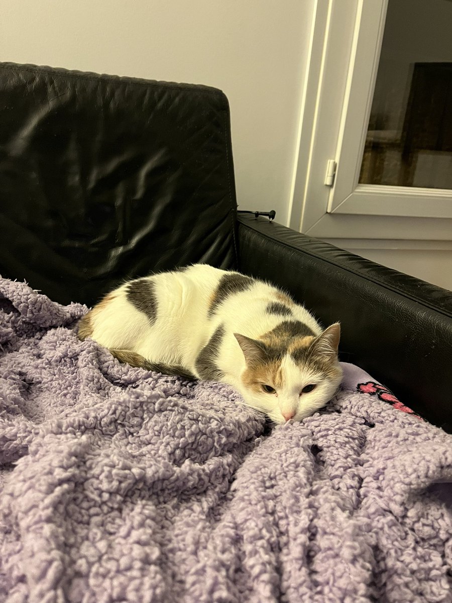 à ce soir mon petit cœur 🫶🏻