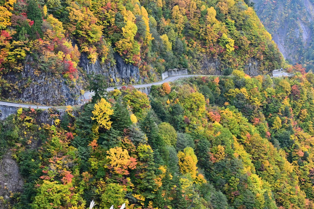 白山白川郷ホワイトロード【公式】 (@HS_WR_staff) / Posts / X