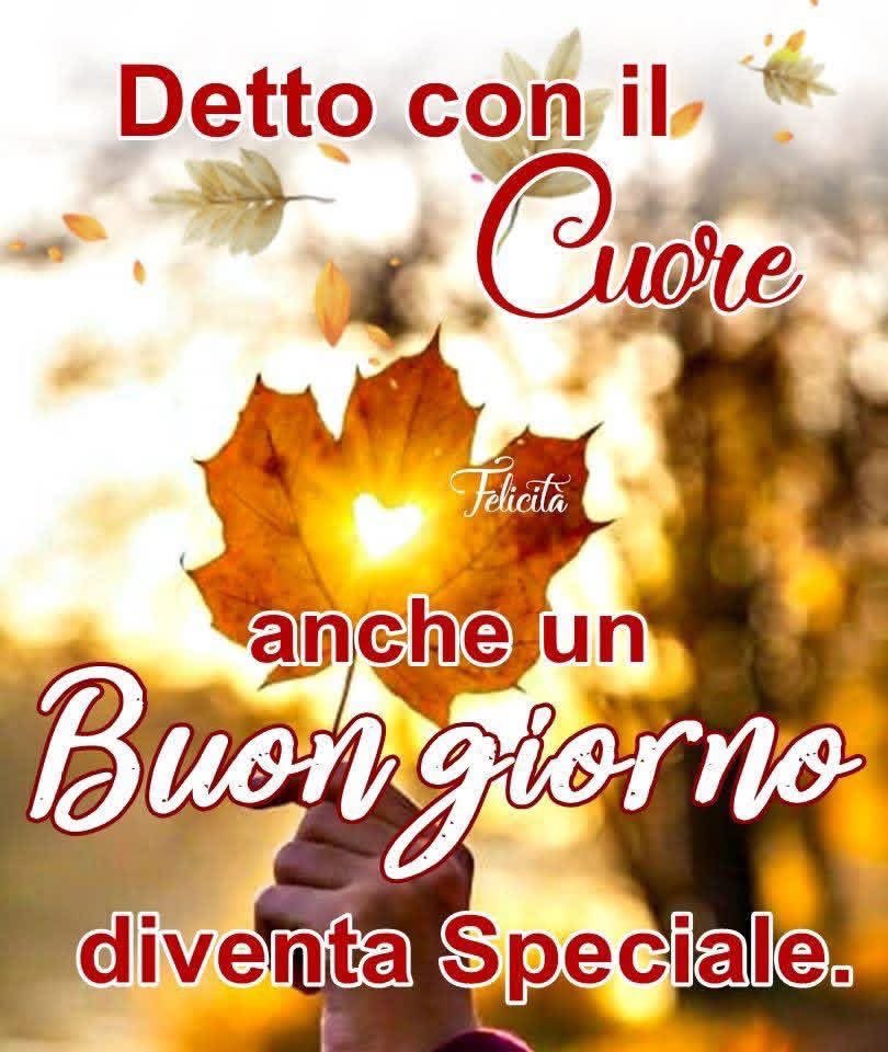 RITABIANCHi56 tweet media