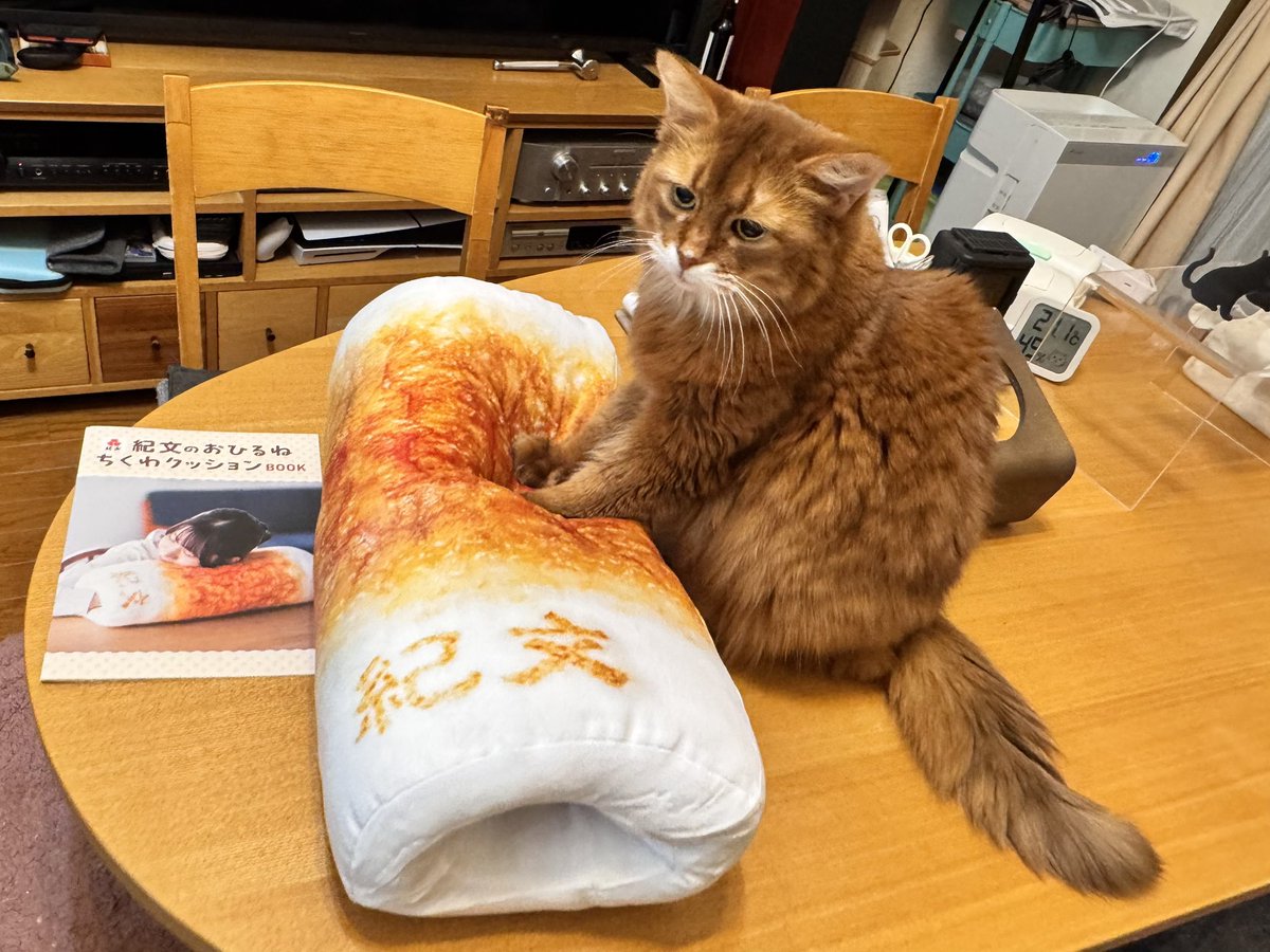 komakotakoyukote (@komakotakoyu) / Posts / X