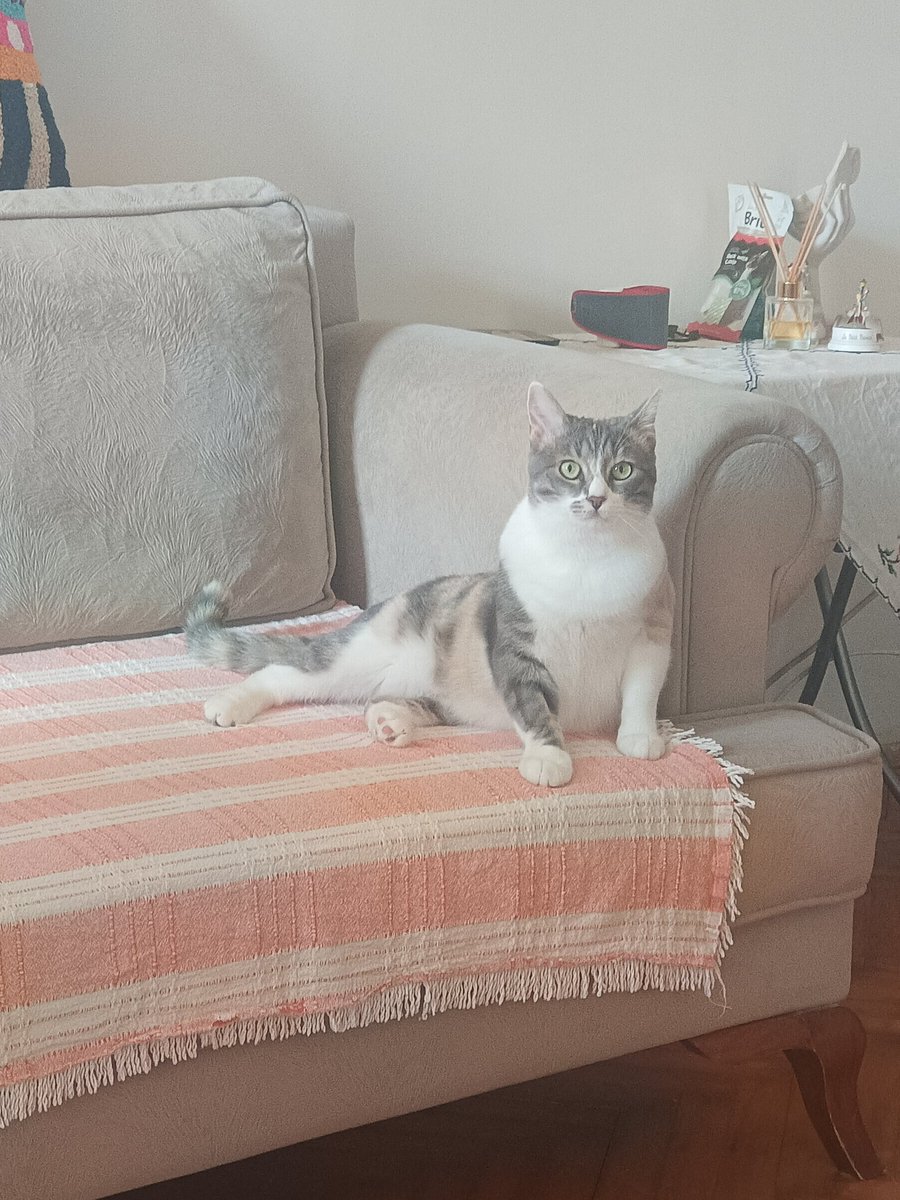 Onlaynda shifokor qabuli haqidagi porno videoni tomosha qiling Anna Song porno