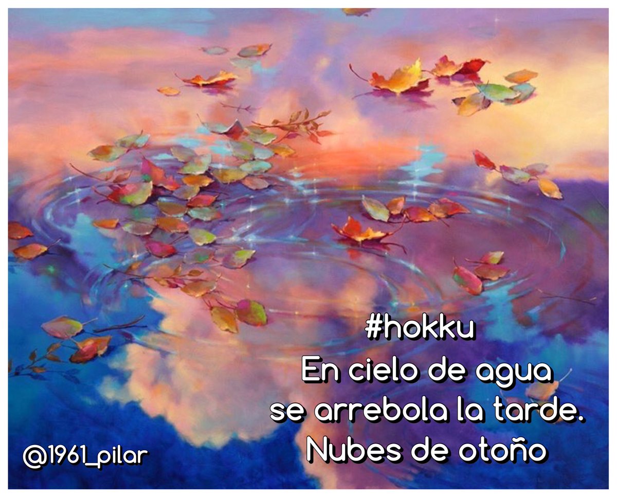 Un nuevo amanecer ¡Buenos días!

En cielo de agua...

~hokku~

#LYF15  #VAFlorDePiel