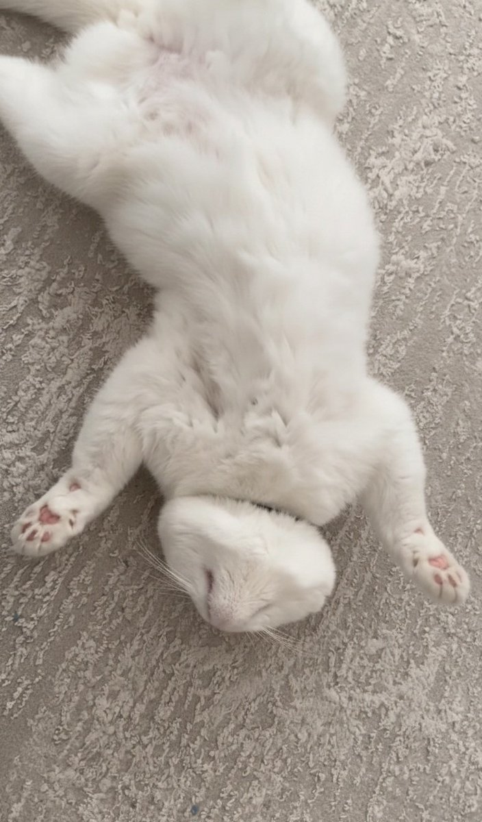 Güzel bir gün olsun 😻🌹🙋‍♂️