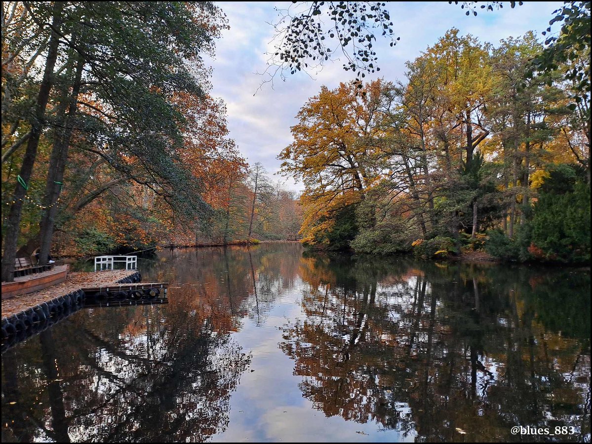 Winke winke aus #Berlin! 👋
Blick vom "Cafe am Neuen See",  #Tiergarten