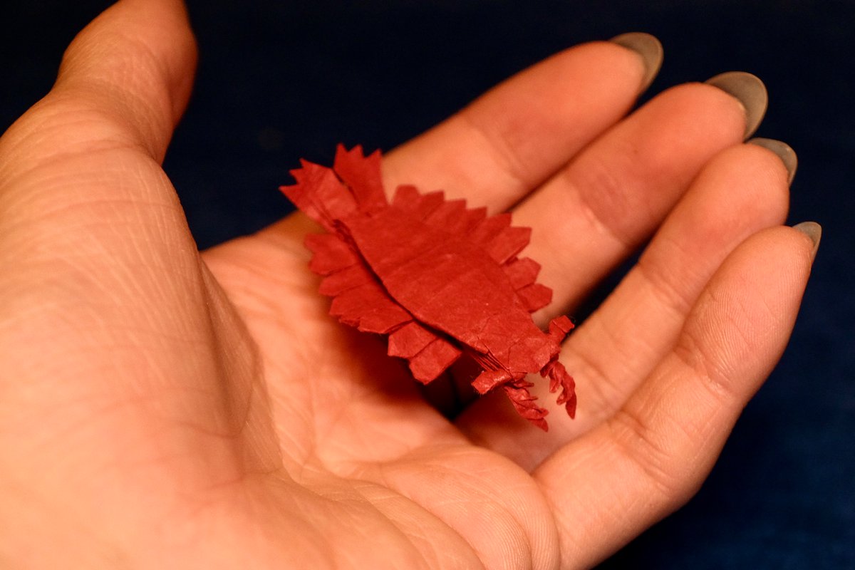 dino_origami's tweet image. 「アノマロカリス」
創作　@doi_gen 
折り手　でぃのりがみ

土佐和紙 10cmより
#折り紙　#origami