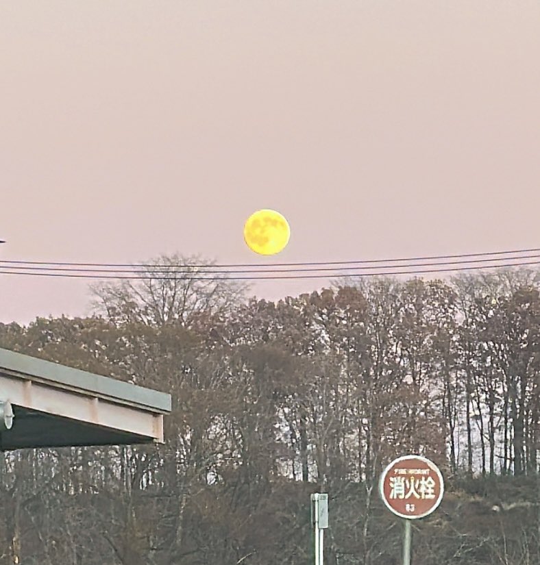 もじもじこです moji mojico (@moji_mojico) / Posts / X