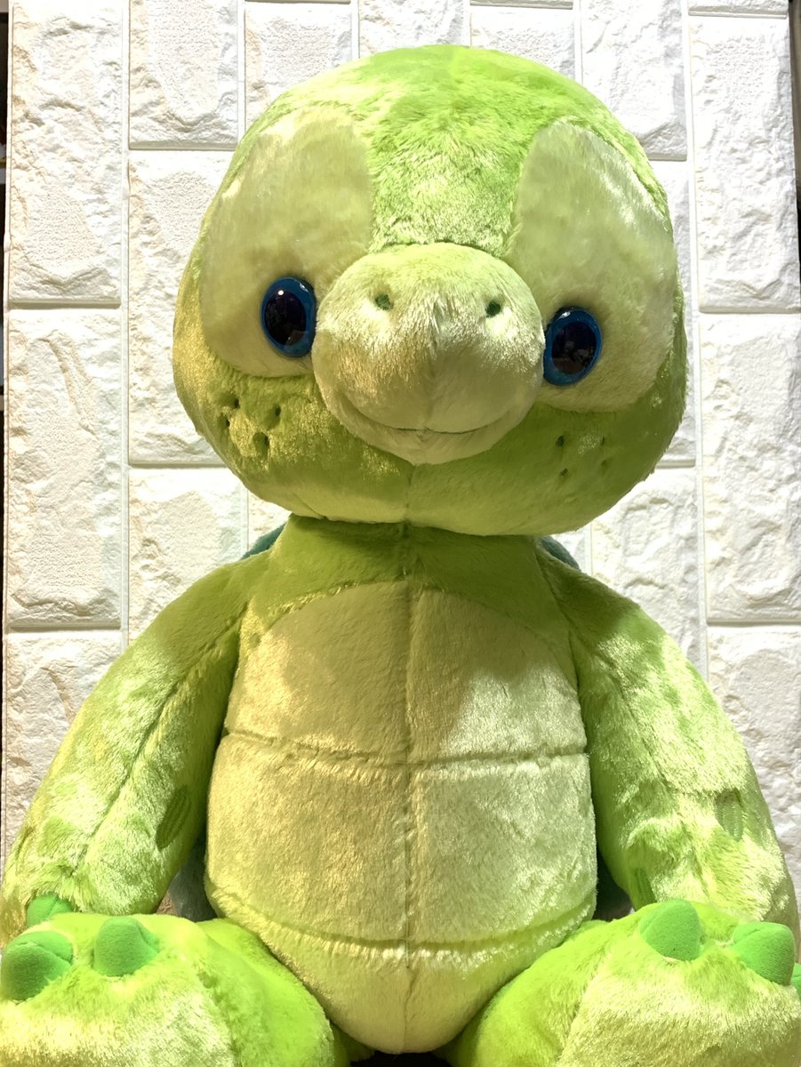 新しい家族のMオルのナルです

🐢よろしくおねがいしまーす
ぼうしはきのうあつかったからとってもらったんだ💦
きょうはまふらーとってもらってくちはなほっぺのけきってもらった💈
かおがしたむいてるからってしゅじゅつしてくれた👨‍⚕️
いけめんになれたかなー☺️

#オルメルのいる生活