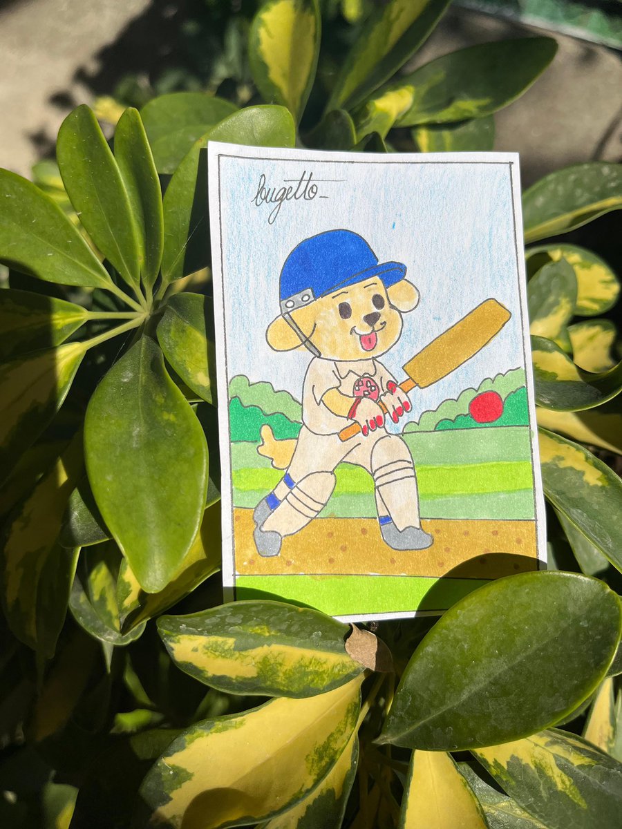 Bugetto_'s tweet image. Hey @shad_haq_ and  @vivekkolli 👀 wanna play cricket with Dobby today? 🏏 @smoothasfkk @scalpkripto @SentientAGI #SentientAGI