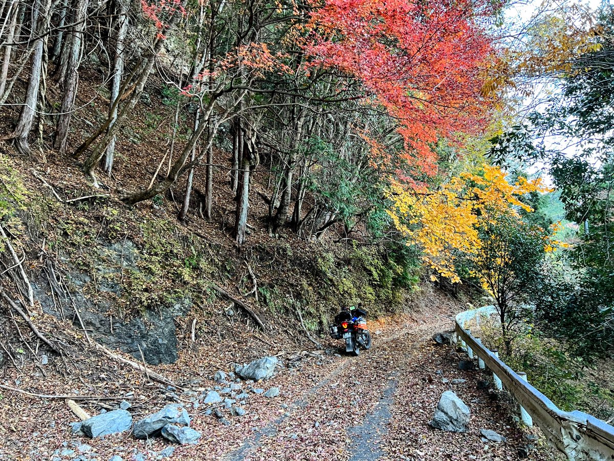 mi-coページ けみこ on X