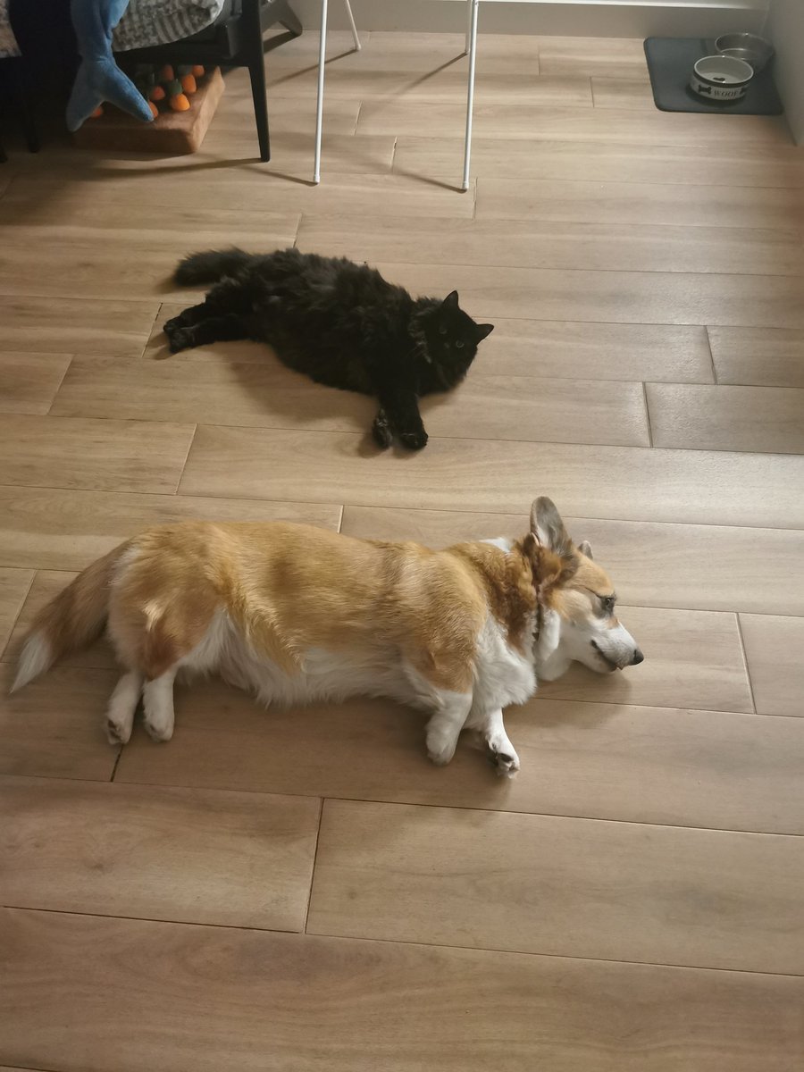 Маслёнок пишет (@shineblu_live) on Twitter photo 