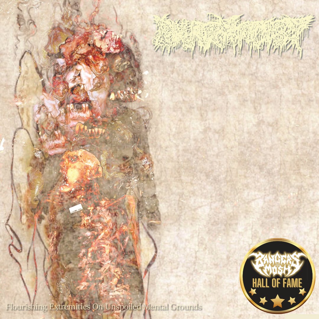 ⚔️Hall Of Fame - Defa⚔️ 

Pharmacist - Flourishing Extremities On Unspoiled Mental Grounds

Release Date: 10th April 2022
Label: Bizarre Leprous Production    
Genre: Deathgrind 
Country: Japan