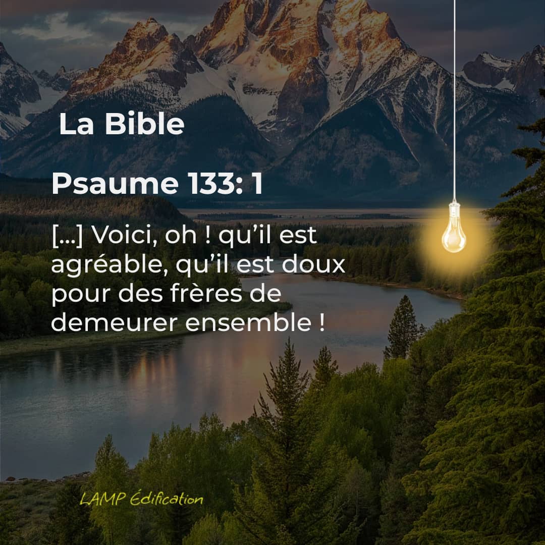LAMP Edification tweet media
