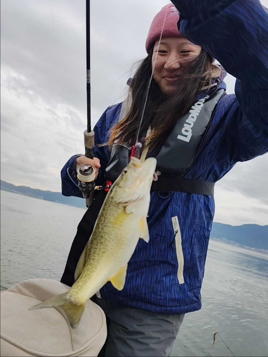 lovelake01's tweet image. 今日はカリフォルニアからのゲスト様御一行　いいお天気とは言えませんがレッグワームとカーリーテールで釣っていくと琵琶湖のブラックバス次々釣れてくれて助かります　#lakebiwa #fishingtrip #fishingguid