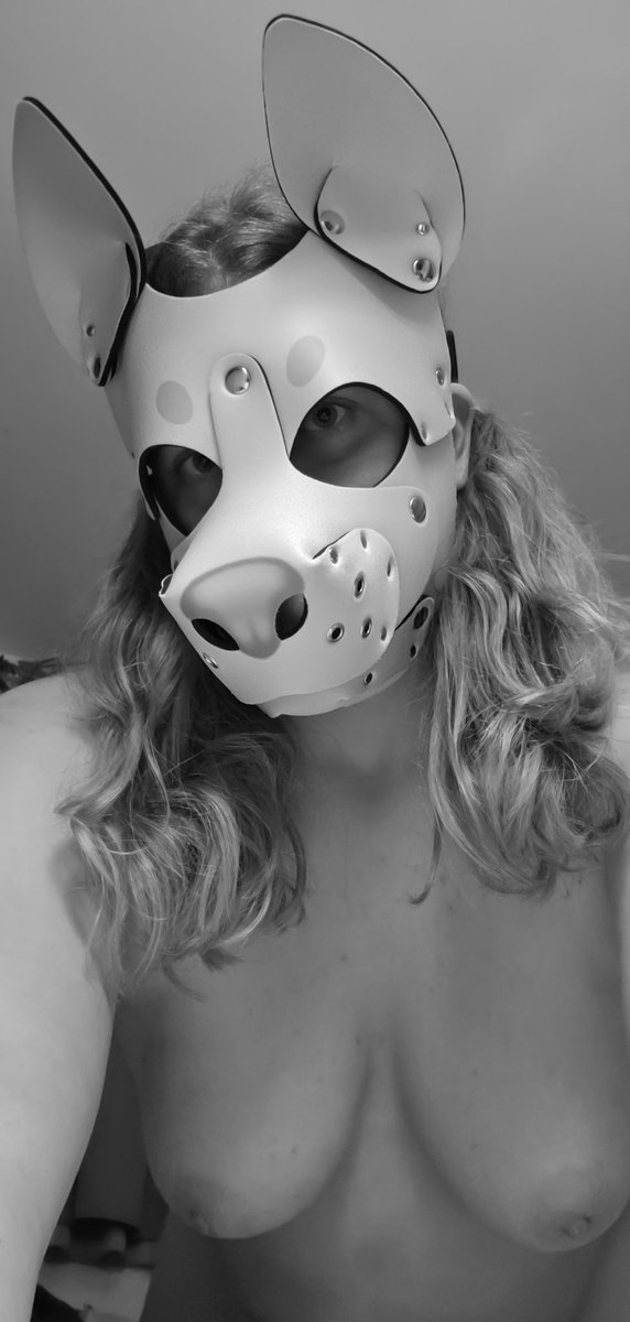 FaunacatAD's tweet photo. Woof 🐶 Like what you see? 

#pupplay #puppy https://t.co/AiGdues1lo