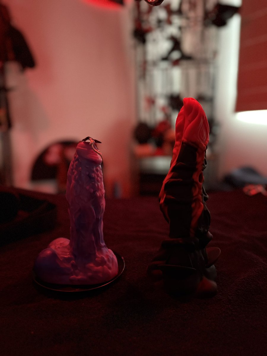 ⛓️ 𝕄𝕖𝕝𝕓 𝕂𝕚𝕟𝕜 𝔻𝕒𝕕𝕕𝕪 ⛓️ tweet media