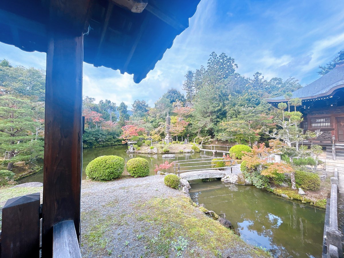 Satoko Sumitomo on X