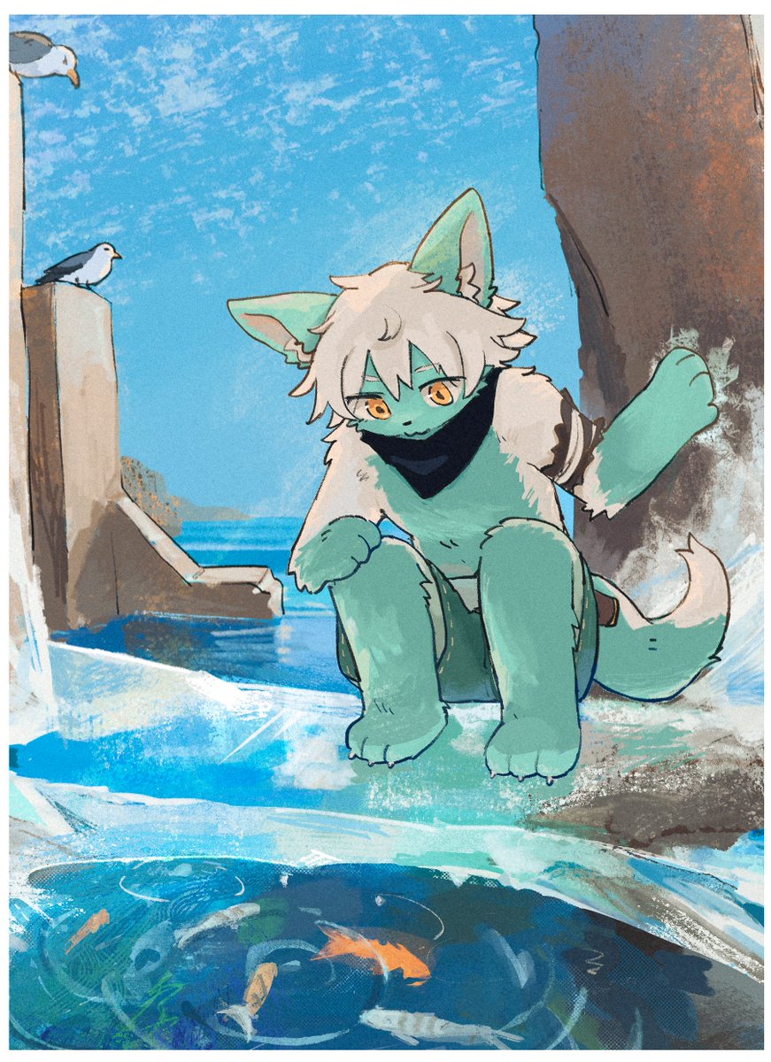 🐱💚🌊