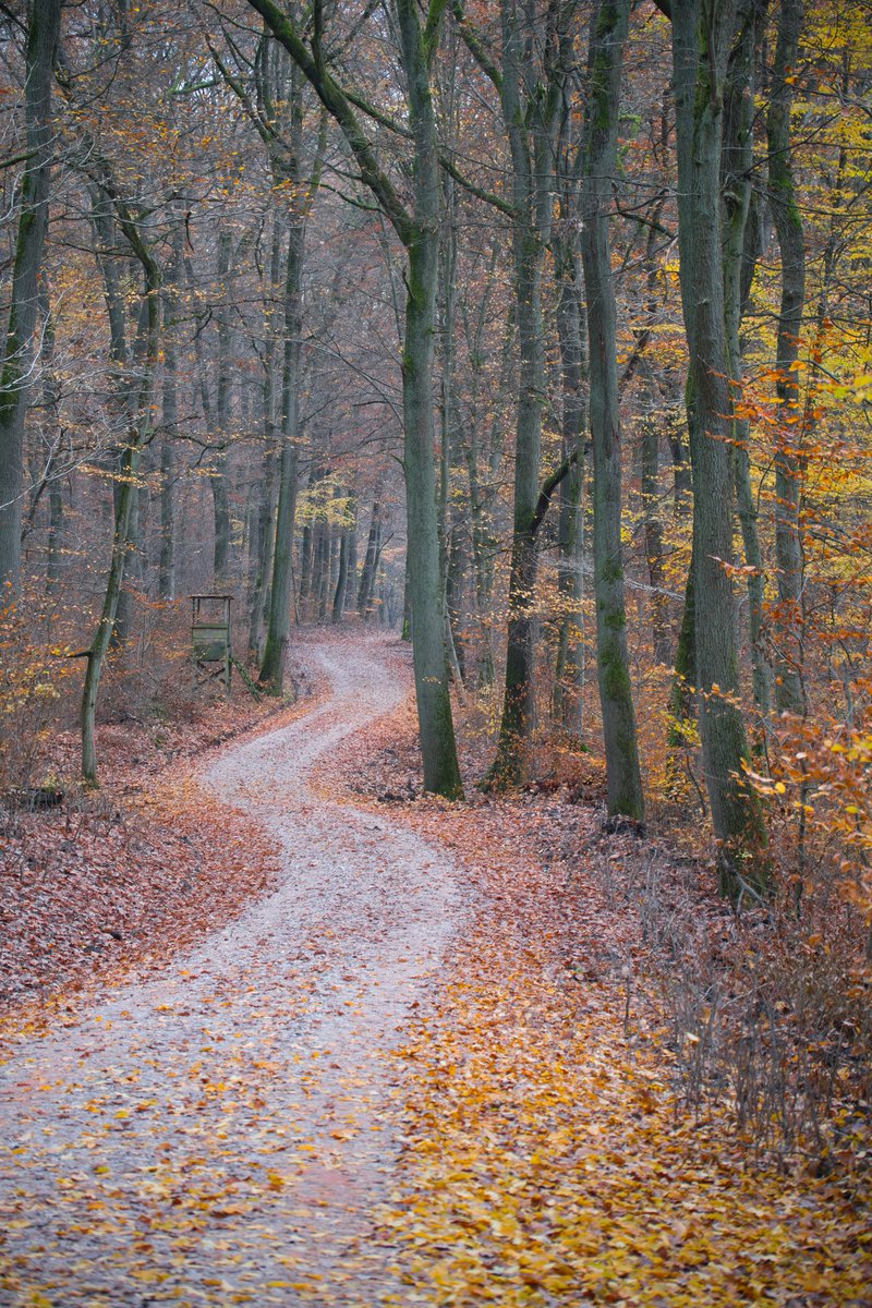 MESSAI_Bill's tweet image. Good Wednesday🍂 #WednesdayVibes