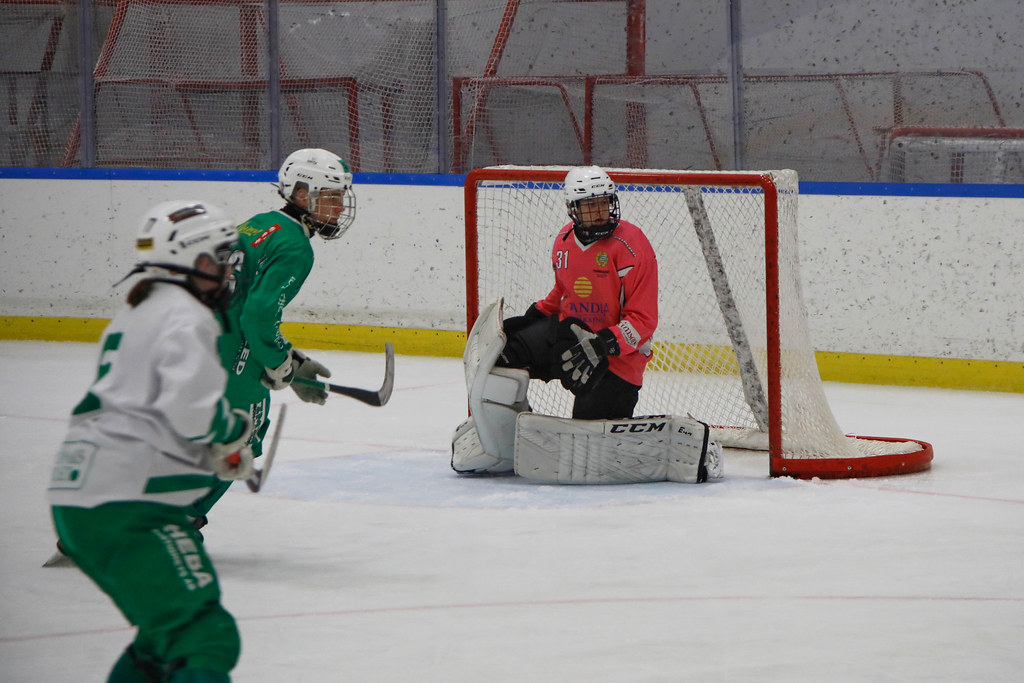 Då vankas det premiärmatch ikväll ute på LIDINGÖ av alla ställen?! Tack för det Stockholms Stad som inte fixar fler ishallar så istiderna sinar. 2 spelare har kastat in handduken pga sjukdom, så har vi några spelsugna lirare där ute som vill va med och skriva historia? DM:a!