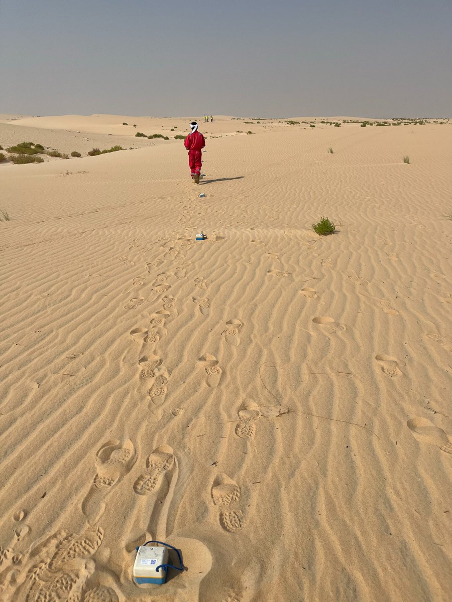 SmartSolo Scientific tweet media