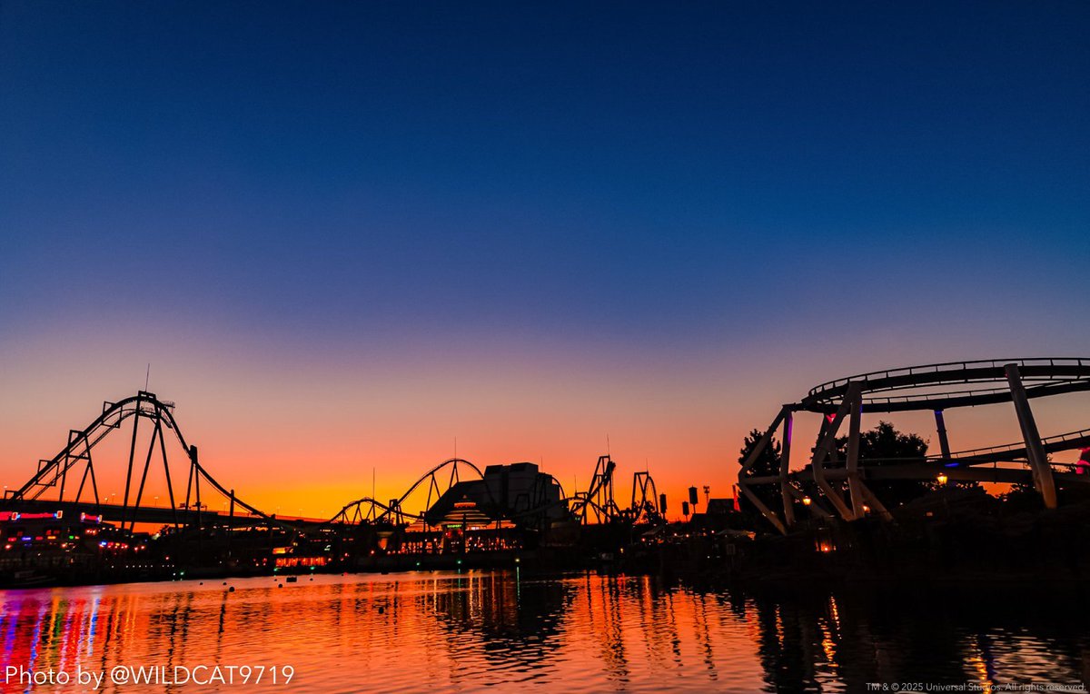 くっしー✨🎢 (@ksryuzi) / Posts / X