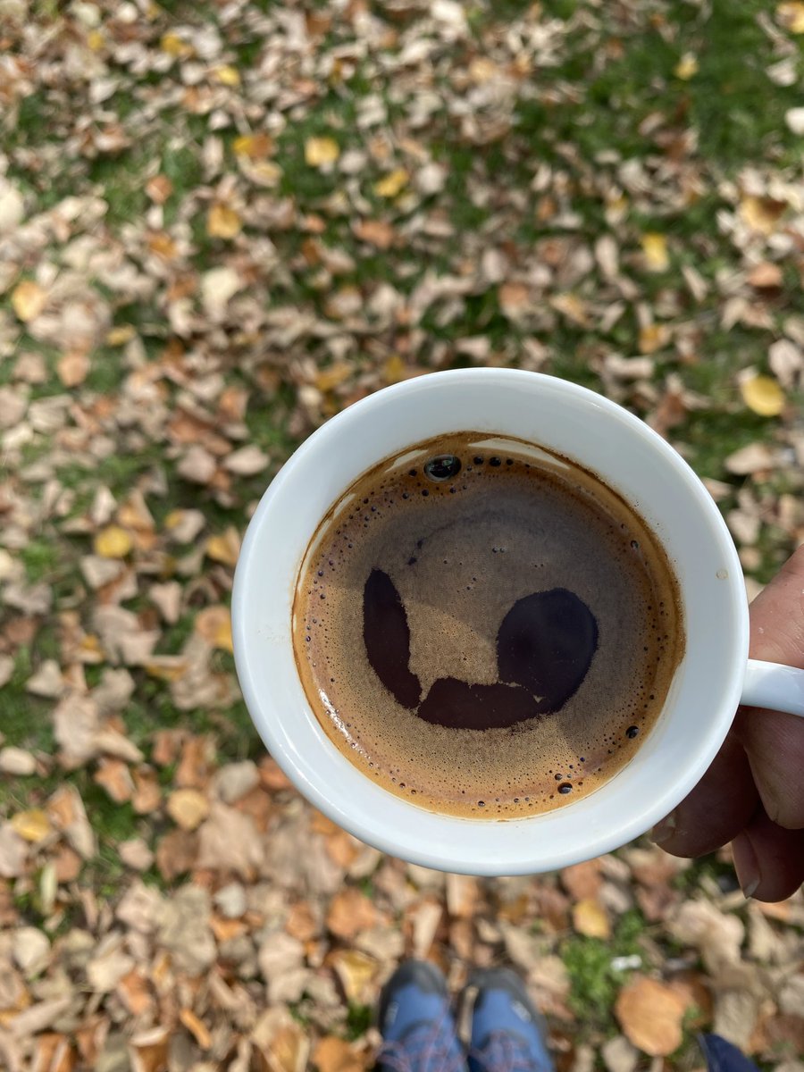 Убав ден дечиња мечиња