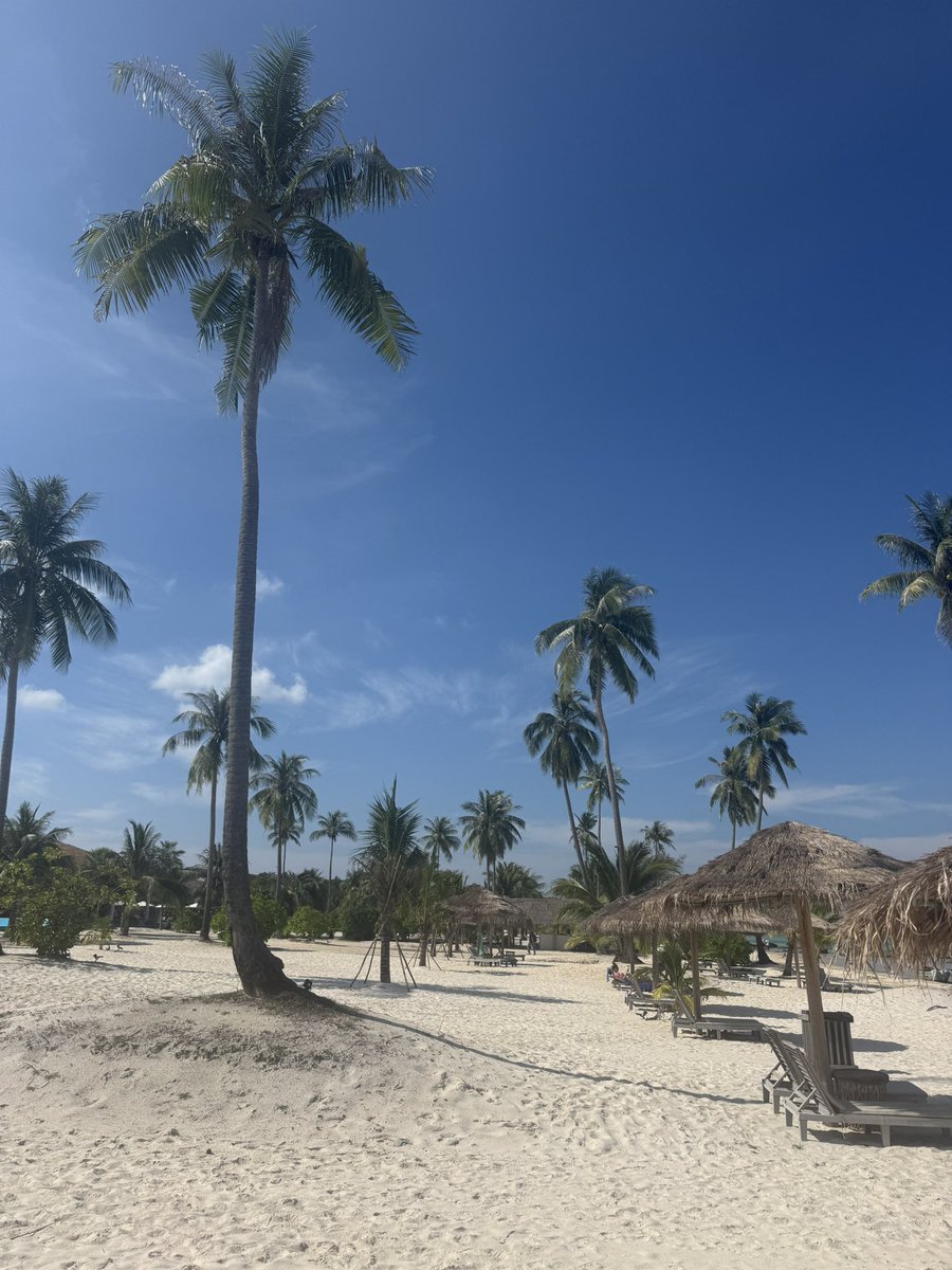 GM👋🇰🇭 Drugi dzień świąt w Kambodży!
Odpoczywamy i nagrywamy dla Was ciekawe materiały na YouTube.
Jest 🤩 pięknie!! 
Kambodża nie musi być perfekcyjna, niech pozostanie taka jaka jest🇰🇭💚