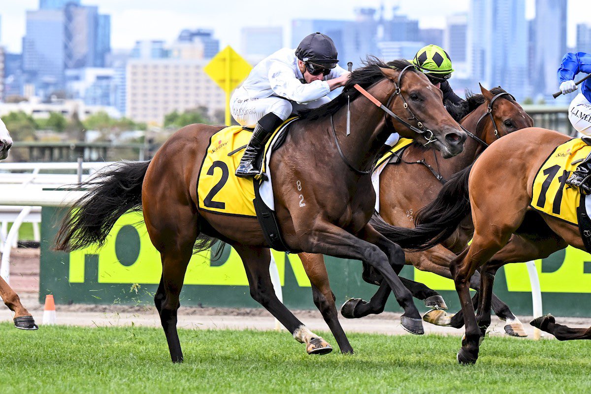 Michael Freedman Racing tweet media