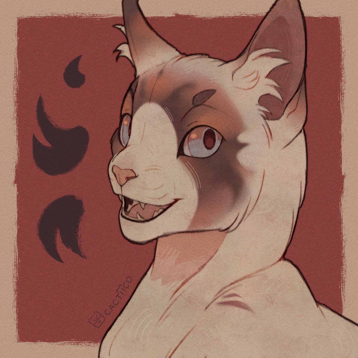 cactiico's tweet image. confident