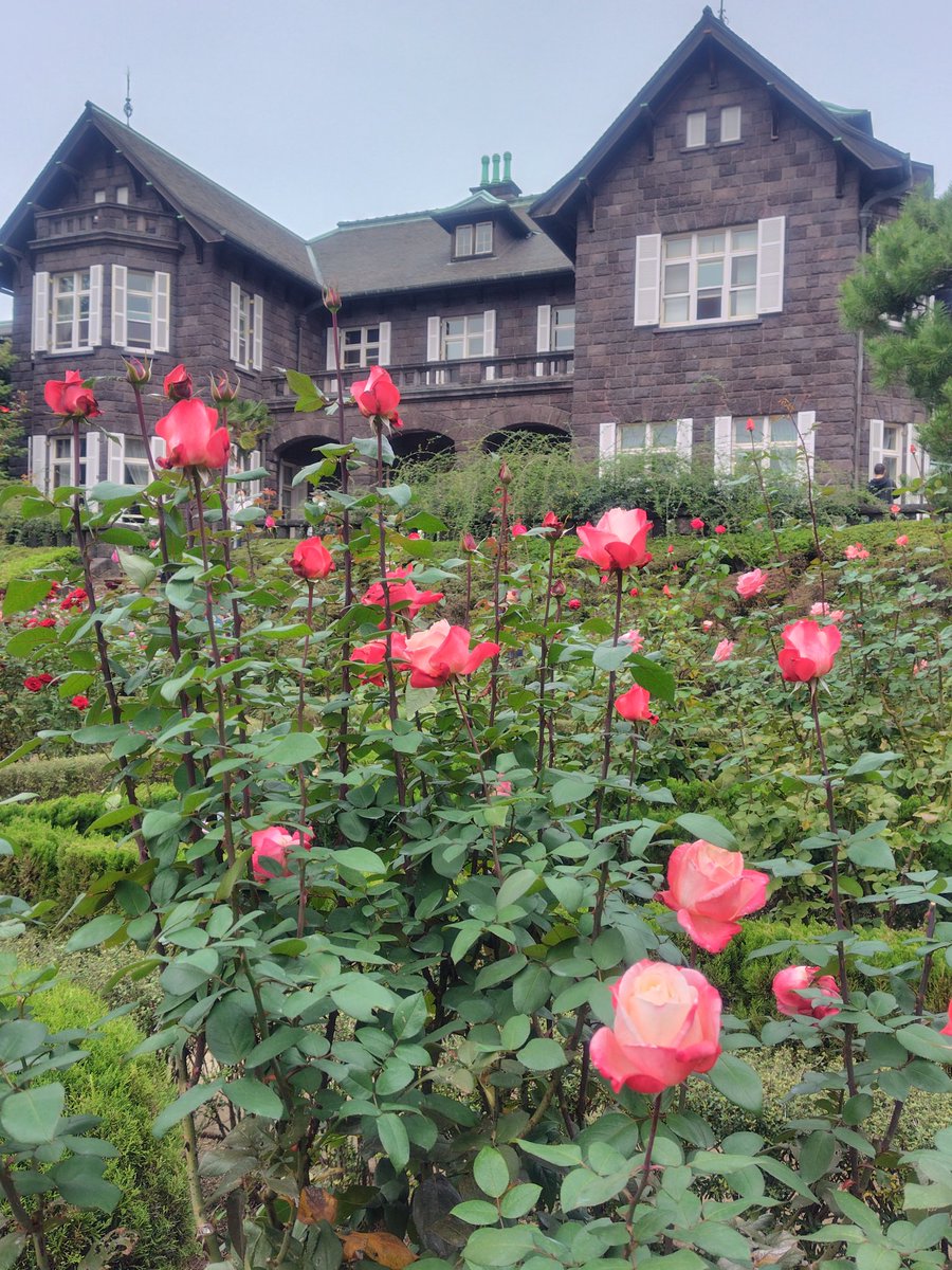 riccan39's tweet photo. 洋館とバラめっちゃいいなぁ。 https://t.co/WKiYWzc8Ev