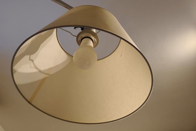 Foto cedida por Ayuntamiento de Rivas