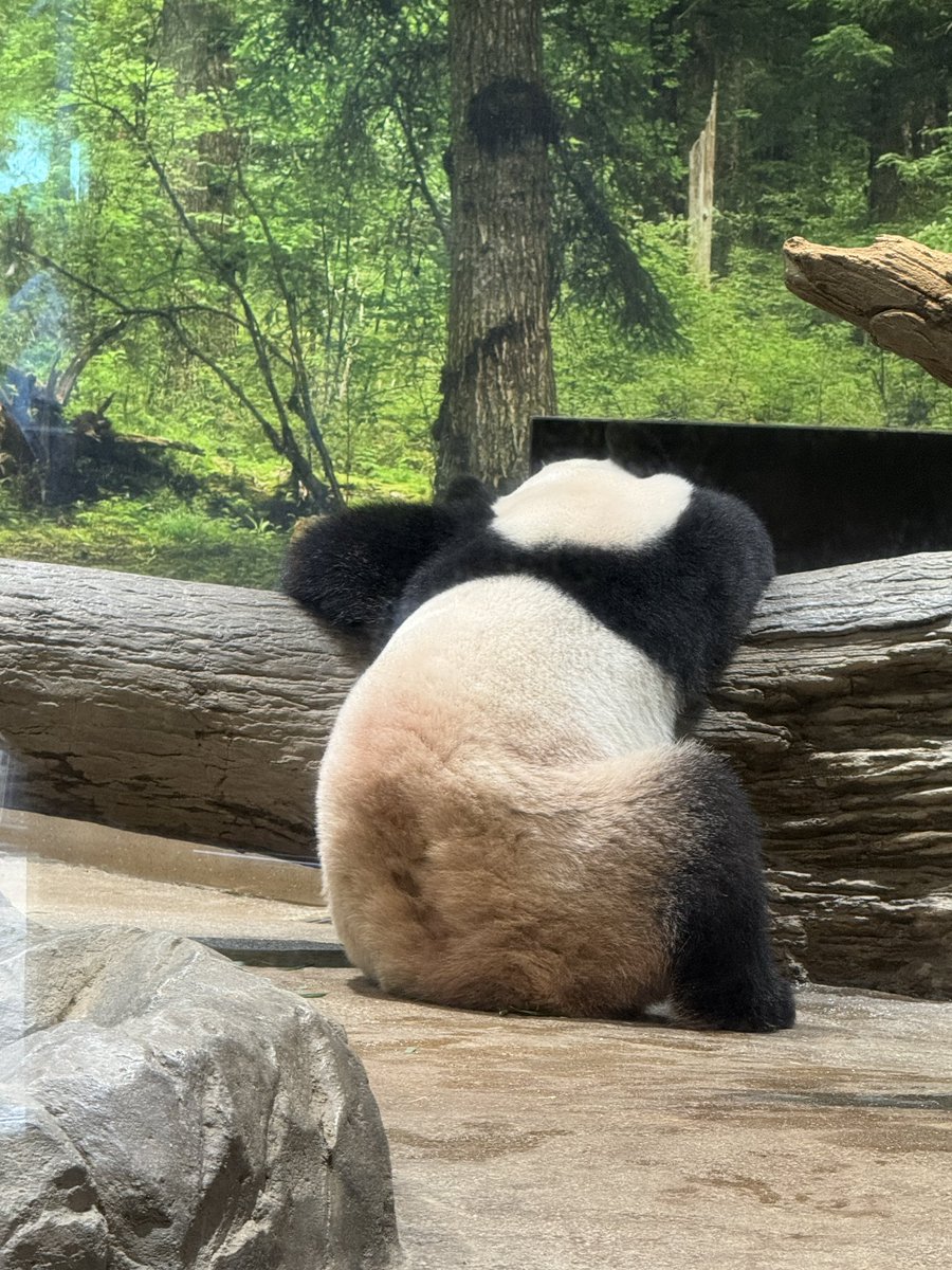 しろくろや (@shirokuro_ya) / Posts / X