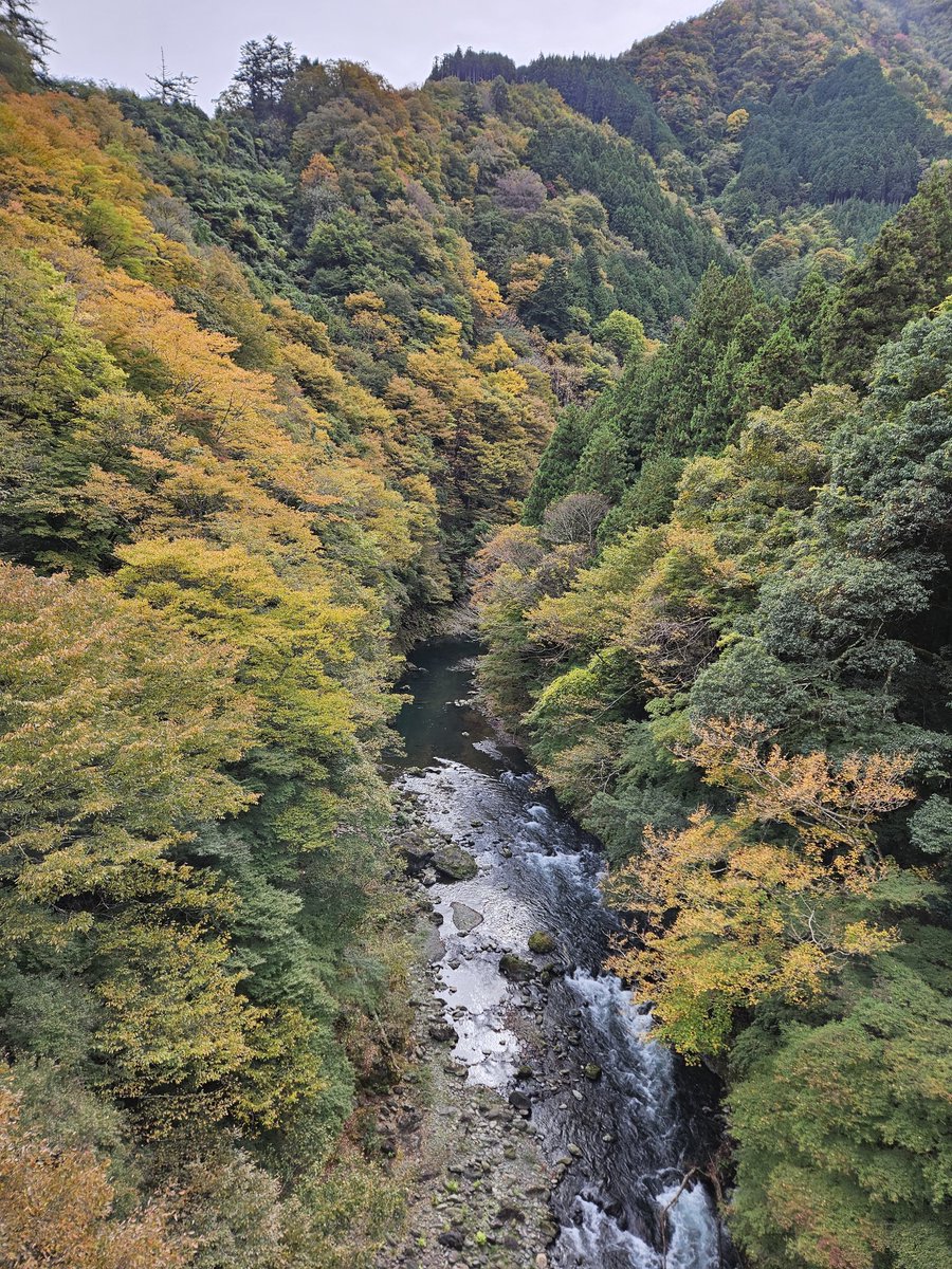 OKD6200's tweet photo. お家から奥多摩まで運動！
往復130km
涼しいからか意外と疲れない！ https://t.co/ewlkQO8lHY