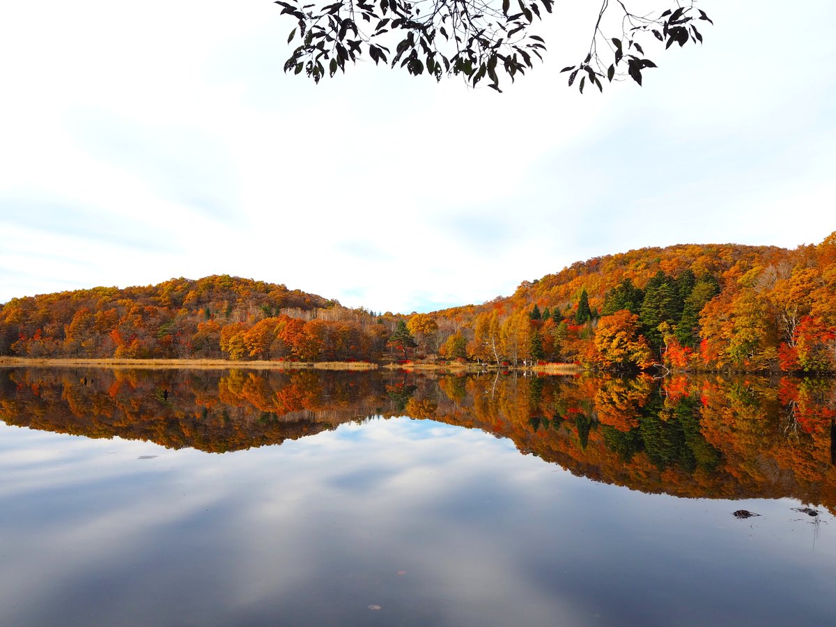 観音沼錦秋 錦秋の観音沼ーⅡ by LOVE J&P （ID：10738114） - 写真共有サイト