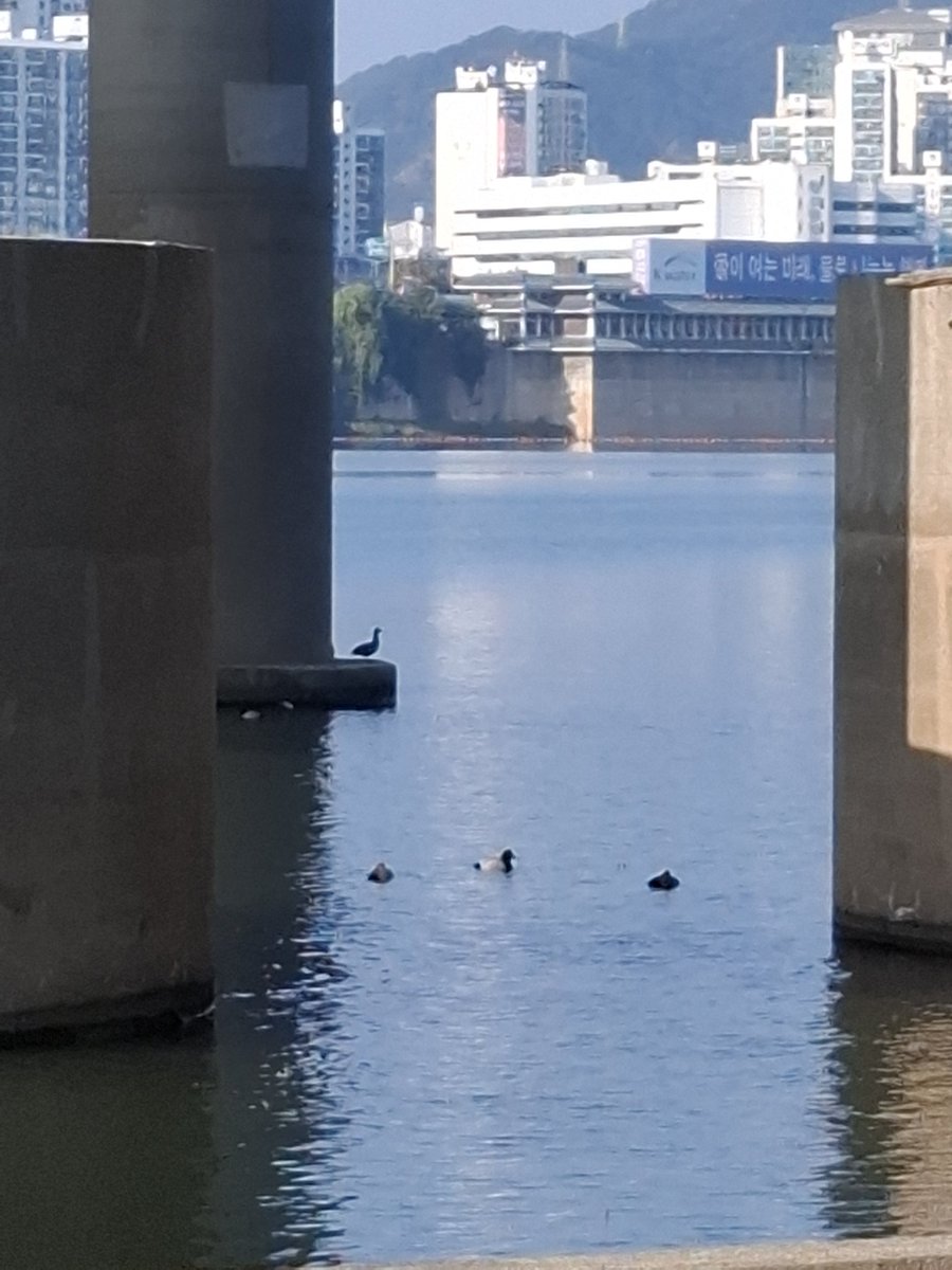 hanujin5's tweet photo. Korea Jonna keun river https://t.co/1kboeyIgNC